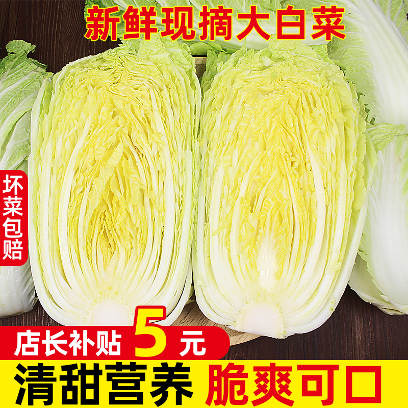 山东潍坊大白菜新鲜10斤包邮鲜嫩蔬