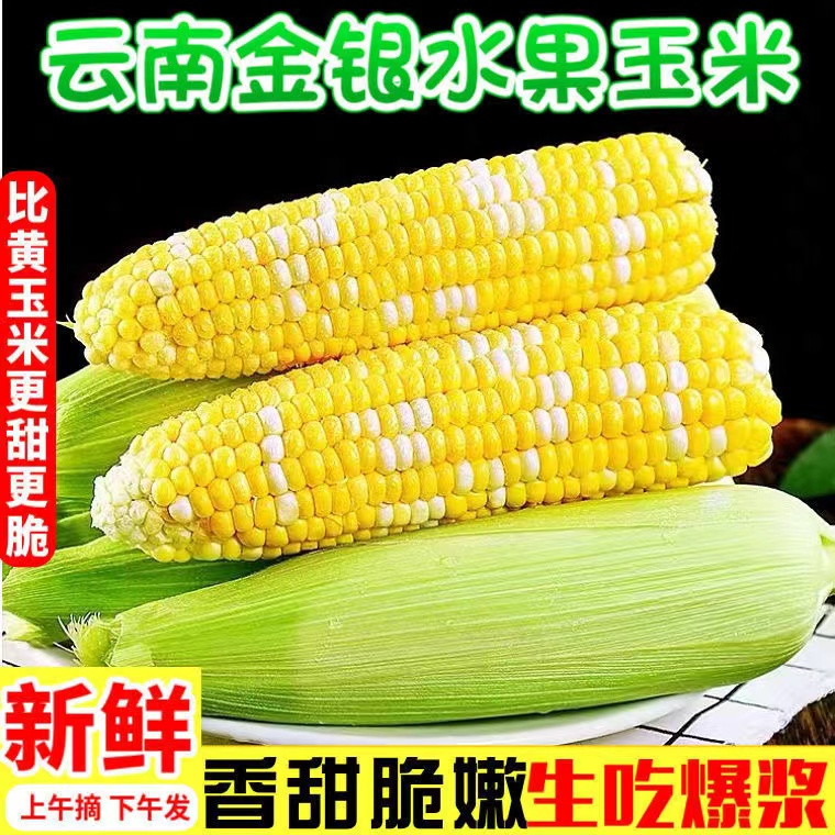 云南金银水果玉米10斤装新鲜生吃甜