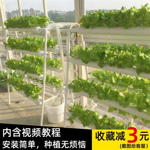 阳台无土栽培设备水培蔬菜管道种植家庭式小型生菜青菜水耕栽培机