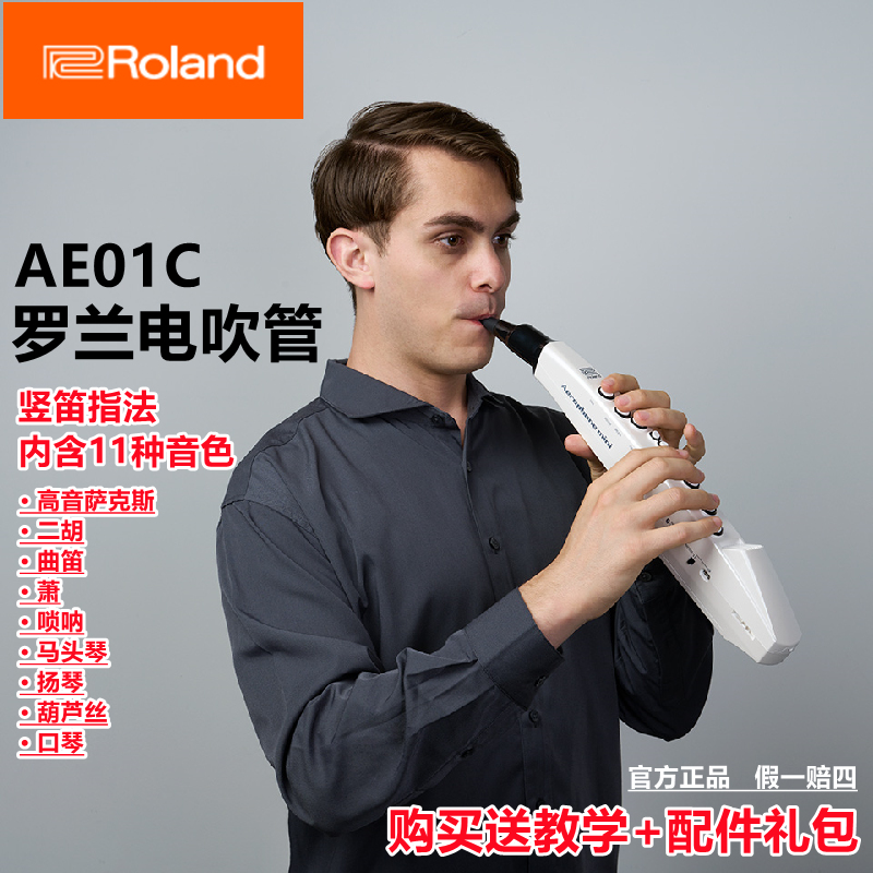 Roland罗兰电子吹管入门升级AE01C民乐初学者竖笛指法AE05萨克斯