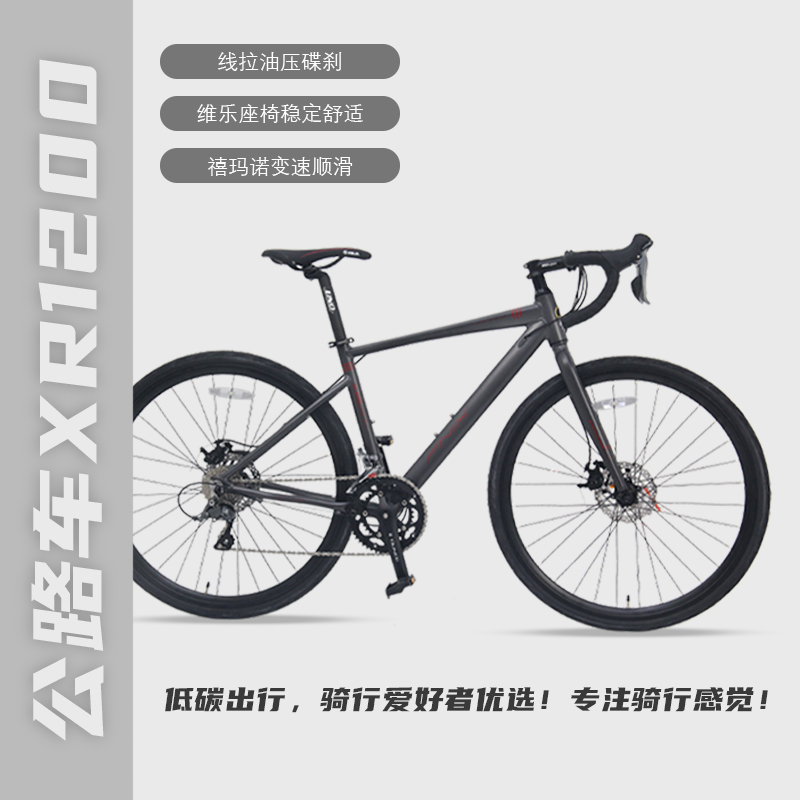 FNIX公路自行车铝合金公路车变速弯把油刹车XR1200银色16速