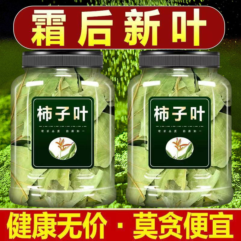 柿子叶降压茶霜后柿子树叶非北京同仁堂新鲜干货柿子叶粉降血压茶