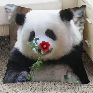 大熊猫和花和叶周边抱枕成都花花公主玩偶公仔枕头果赖可爱纪念品