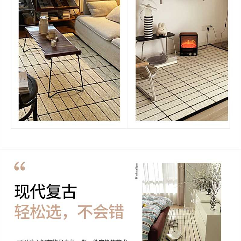 抗污 摩° 高级地毯客厅轻法式复古现代简约黑白极简整铺卧室