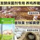 发酵床专用菌剂垫料除臭家庭阳台养鸡芦丁鸡仓仓鼠养猪发酵床菌剂