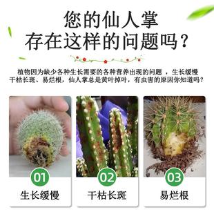 仙人掌专用肥仙人掌肥料仙人掌营养液仙人球家用蟹爪兰盆栽土嫁接