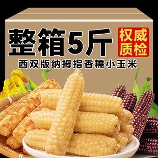 云南西双版纳拇指玉米即食早餐代餐新鲜傣家甜香糯迷你手指小玉米