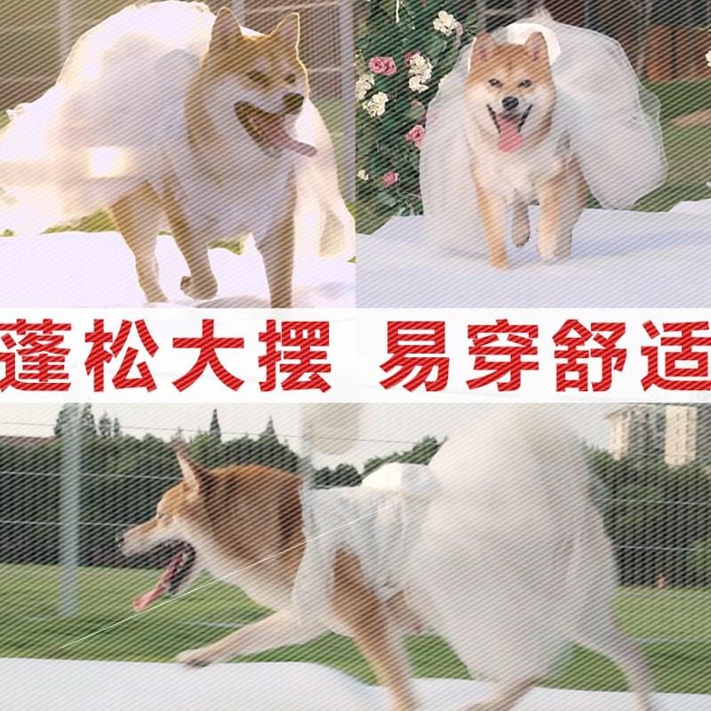 向往的生活小H小O同款婚纱泰迪宠物狗生日礼服柴犬可爱蓬蓬裙公主