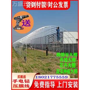 新款大棚支架拱杆塑料骨架小型蔬菜全套家用温室养鸡拱棚养殖钢架