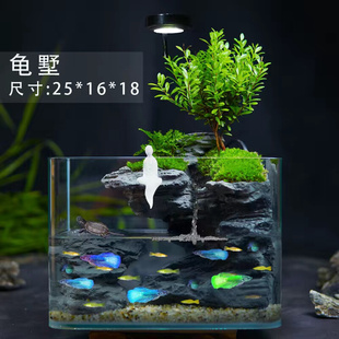 流水生财造景鱼缸成品发货 苔藓微景观创意桌面生态缸 新手养鱼