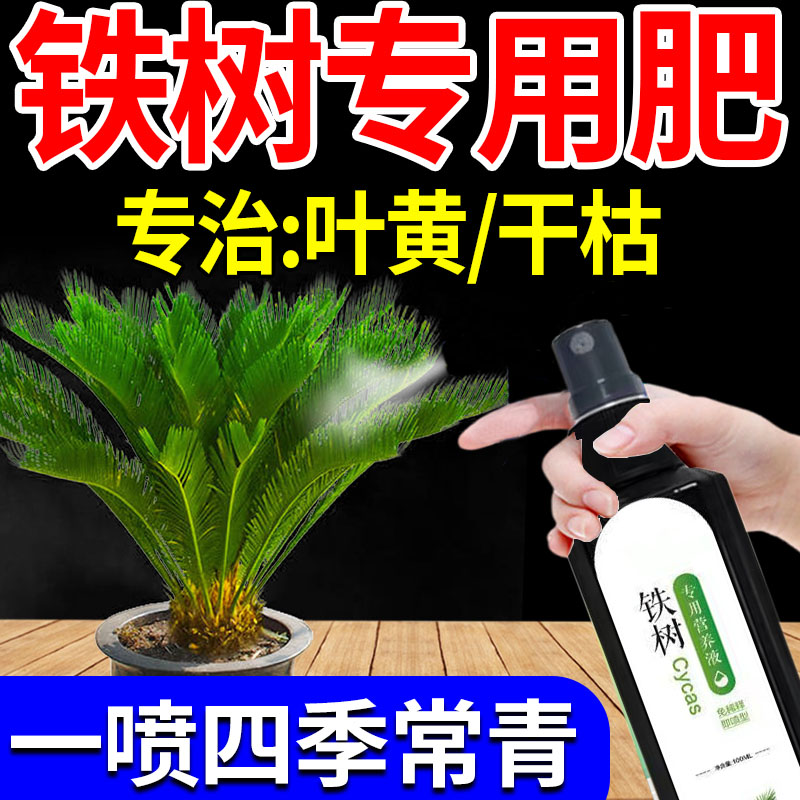 铁树专用肥料营养液一喷猛涨叶子发黄专用促开花发芽免稀释液体肥