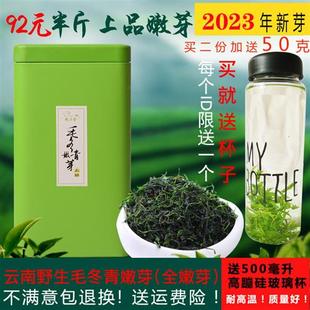 毛冬青云南野生茶特级正品毛冬青嫩芽青山绿水小叶苦丁好茶250克