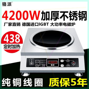 骆派 大功率电磁炉家用3500W-4200W凹面商用5000W电磁灶爆炒菜炉