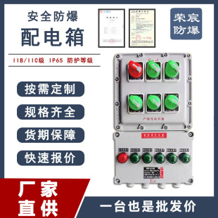 防爆配电箱不锈钢空箱照明动力检修箱控制箱仪表插座接线箱正压柜