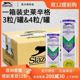 Slazenger史莱辛格网球温网比赛用球训练球高弹耐打3粒4粒铁罐装