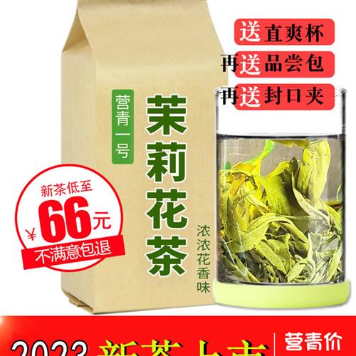 营青一号 茉莉花茶2023新茶叶浓香型500g 茉莉玉螺曲茶叶袋装包装