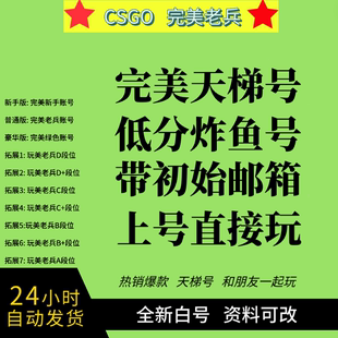 csgo账号 完美世界 天梯号 新号 老兵号 csgo2 成品号 普通玩家