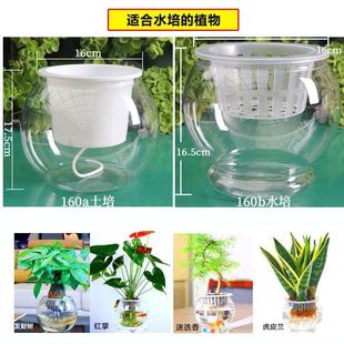 透明水培塑料花瓶绿萝水生植物植物容器室内桌面摆放花盆多个大小