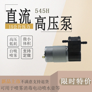 12V/24V微型直流高压静音自吸消毒机电动水壶喷雾马达增压水泵
