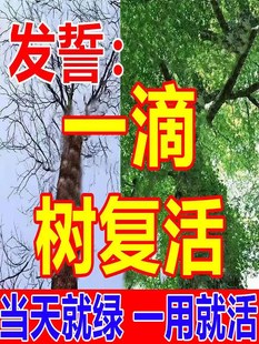 生根药水复活液枯树再生液体生根剂生根壮苗剂死树复活猛生根原液