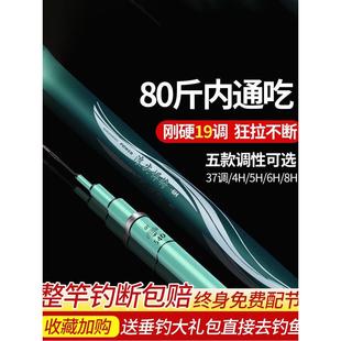 浪尖钓鱼竿手杆超轻超硬19调6H鲤鱼台竿28调大物竿十大名牌旗舰店