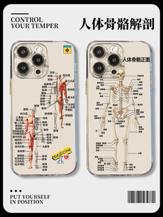 人体骨骼手机壳苹果15iPhone14解剖13promax正面医学生12医学11中医骨架8plus结构x专用xr硅胶xs新款ip7适用i