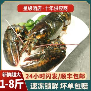 进口波士顿大龙虾鲜活冷冻巨型海鲜水产超特大波龙澳洲大龙虾10斤