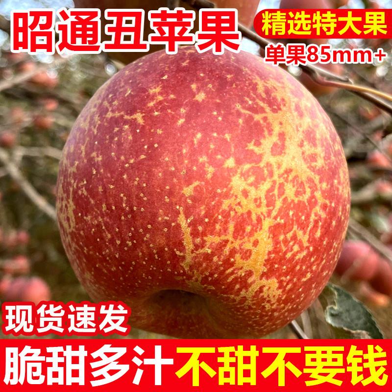 云南昭通冰糖心丑苹果10斤水果新鲜当季整箱红富士苹果包邮脆甜