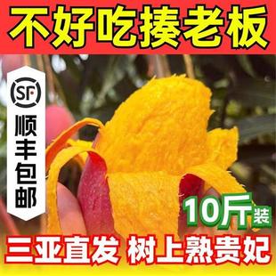 海南三亚树上熟贵妃芒红金龙芒新鲜热带水果顺丰10斤装带箱包邮