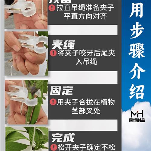 吊秧夹蔬菜大棚黄瓜番茄西红柿葫芦农用绑蔓落扶蔓秧塑料吊蔓夹子