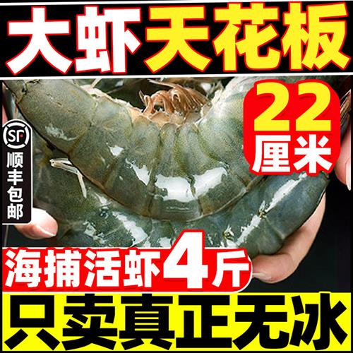 青岛大虾鲜活新鲜速冻超大基围虾海虾特大对虾青虾冷冻2030海鲜