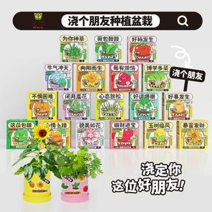 幼儿园绿植小盆栽神奇植物办公室桌面儿童种植情绪稳定迷你小农场