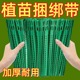 可调节鱼骨扎带捆绑线多用途园林绑树藤蔓植物固定园艺可拆卸扎线