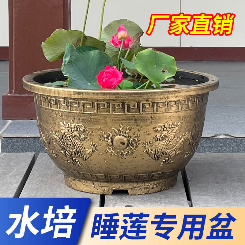 花盆家用塑料特大号碗莲专用盆荷花盆缸户外庭院水培养鱼树脂加厚