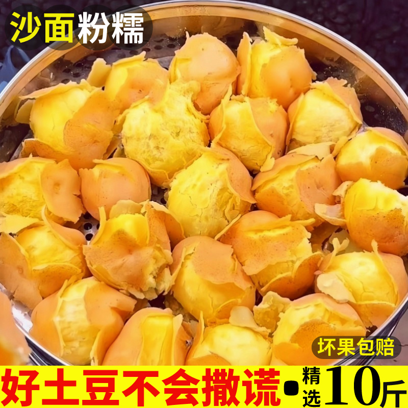 正宗甘肃定西土豆沙面黄心马铃薯蔬菜