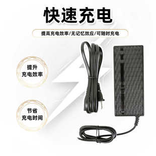 吕布云轮电池充电器自行车电动助力器110V-220V锂电池快充专用款