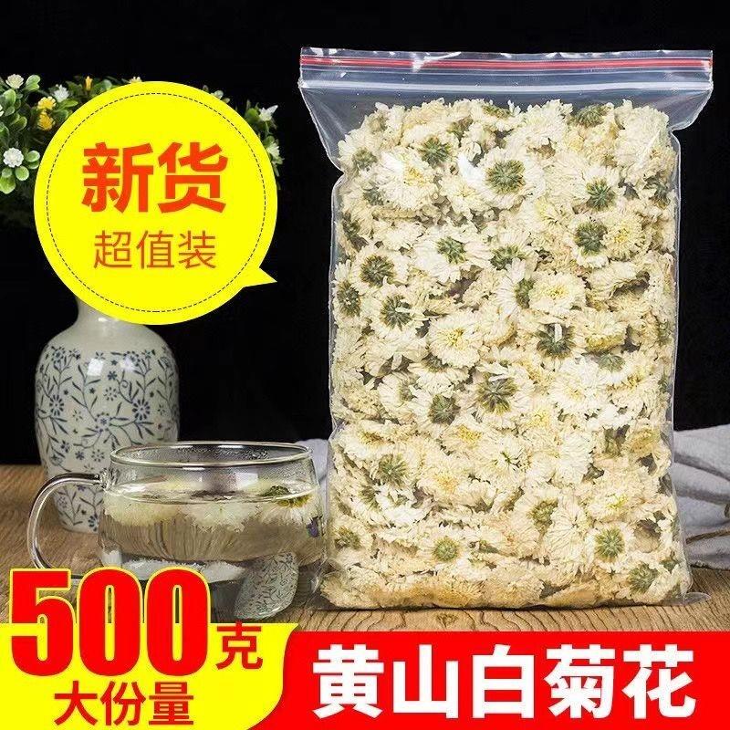 新鲜白菊花茶500g黄山贡菊新白菊