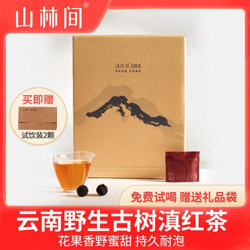 野生古树红茶云南滇红茶特级浓香型山林间龙珠茶叶礼盒装送礼长辈