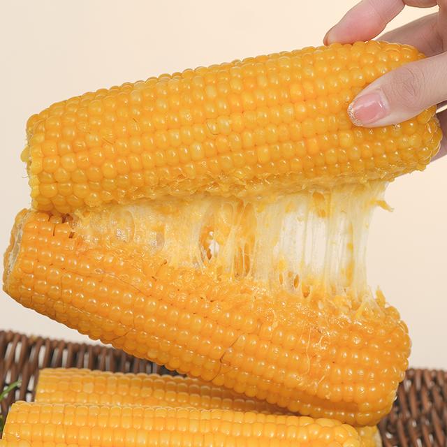 试吃2根东北拉丝黄白甜糯玉米黄金铝箔独立装小棒14-16CM10