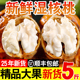 2025年四川老树新鲜湿核桃现摘去青皮特级带青皮现发非薄纸壳孕妇