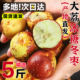 大荔冬枣新鲜大枣应季水果现摘枣子脆甜鲜枣青枣整箱顺丰包邮现货