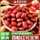 东北红皮花生米24年农家新货晒干小粒红衣不带壳新鲜四粒红花生仁