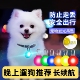 宠物LED狗狗发光吊坠夜光防走失丢灯狗牌猫咪铃铛夜间遛狗灯泰迪