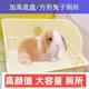 宠物兔子加高方形厕所大号荷兰猪大砂盆兔兔尿盆小宠专用上厕所
