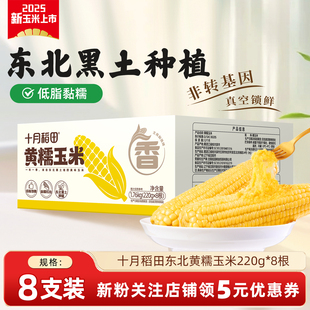 十月稻田黄糯玉米220g*8支东北粘苞米香甜糯黏玉米棒子真空装