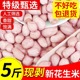 24年精选优质新生白沙新鲜榨油不带壳粉大粒白沙新鲜食用农产品