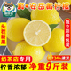安岳黄柠檬新鲜现摘奶茶店专用皮薄一二级大小商用鲜果四川柠檬果
