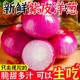 洋葱新鲜紫皮农家自种水果生吃圆葱甜辣10斤圆葱葱头红皮批发25年