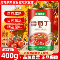 范每奈斯内蒙番茄丁罐头400g