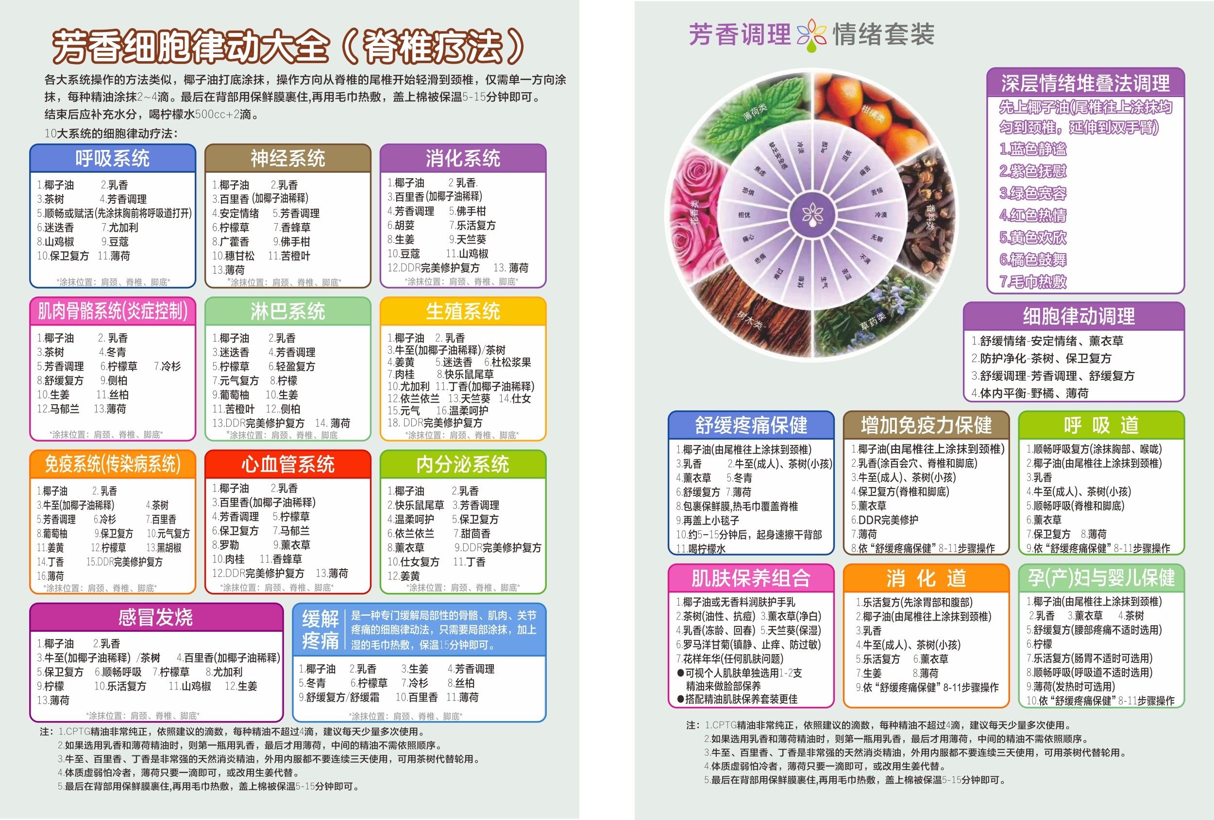 多特瑞芳香细胞律动单页精油调理套装宣传单上课宣传单